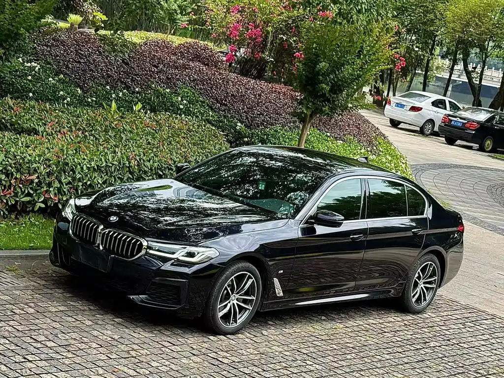 BMW 5 Series 2021