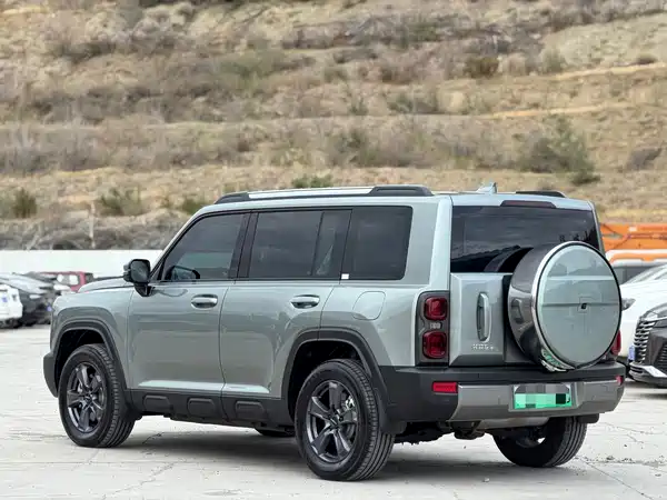 Haval Raptors New Energy 2024