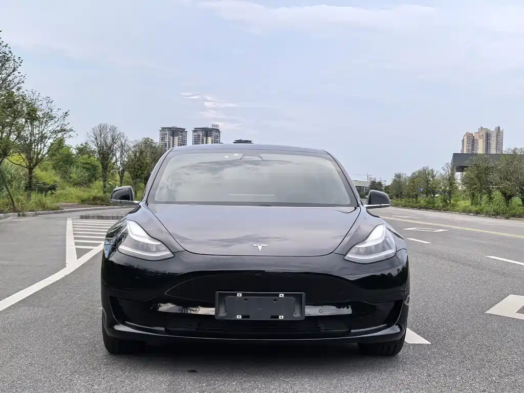 Tesla Model 3 2020 — фото 2