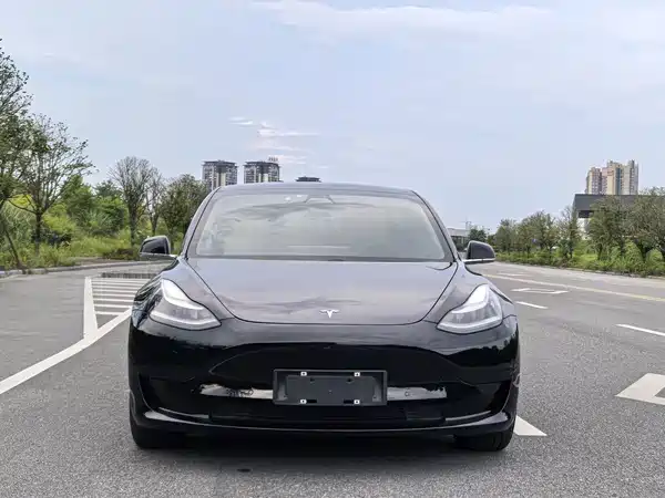 Tesla Model 3 2020