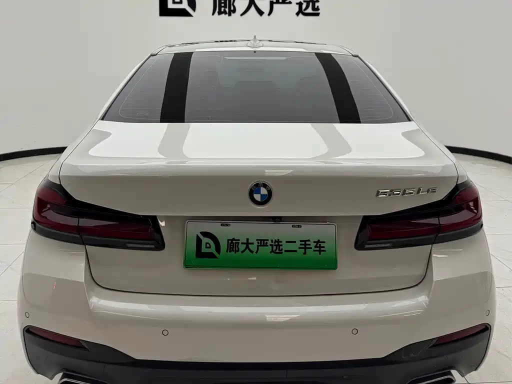 BMW 5 Series New Energy 2020 — фото 4