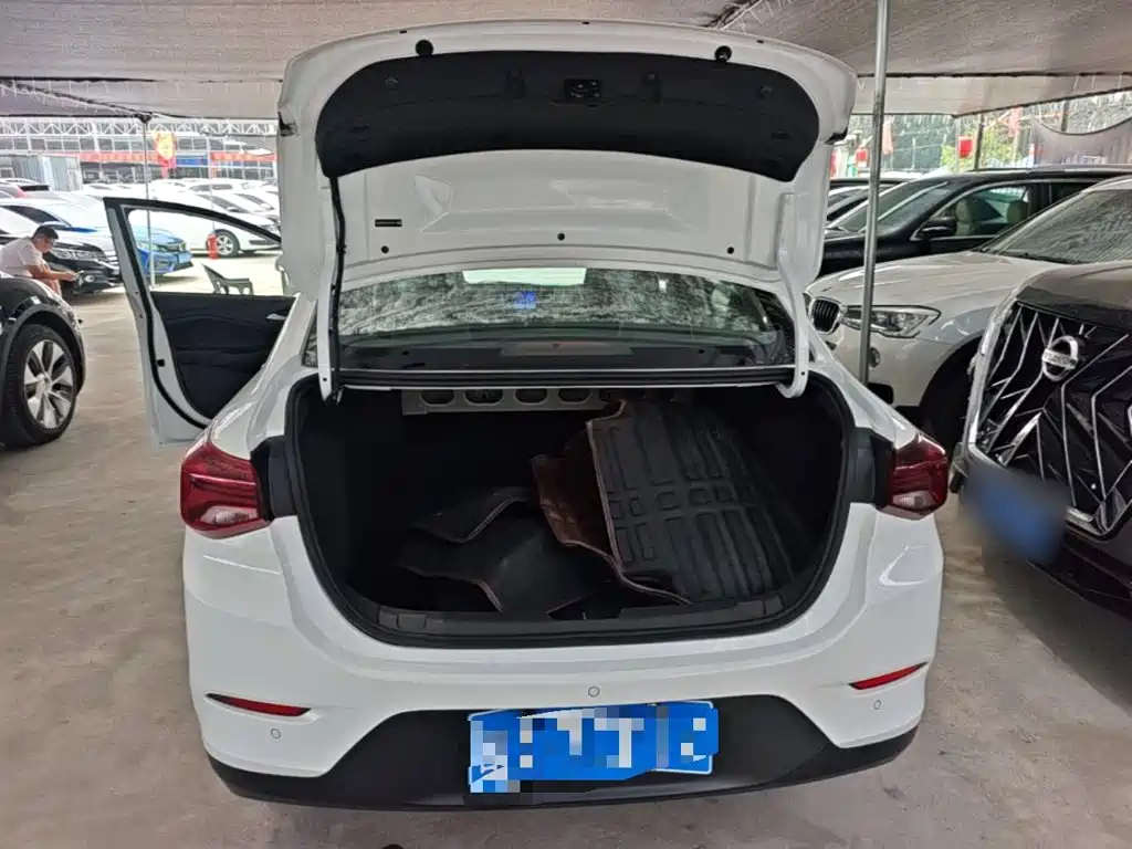 Chevrolet Cavalier 2020 — фото 19