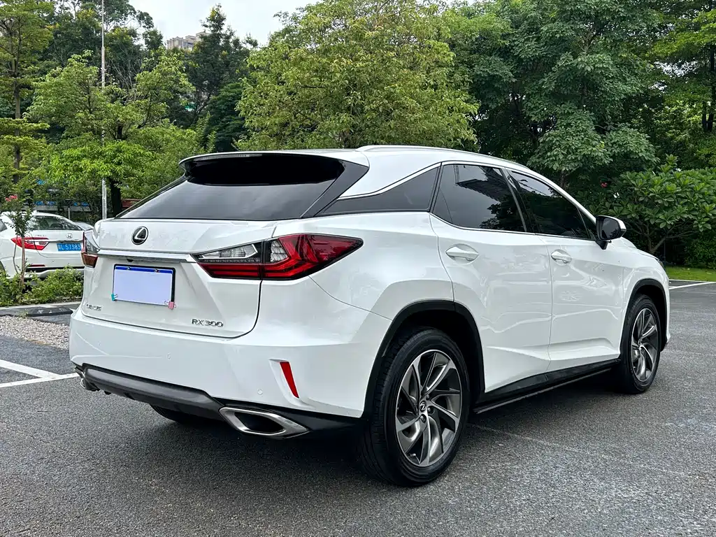 Lexus RX 2018 — фото 34