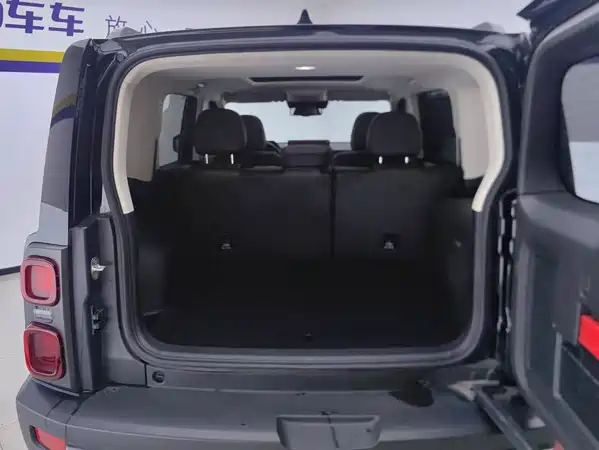Haval Raptors New Energy 2024