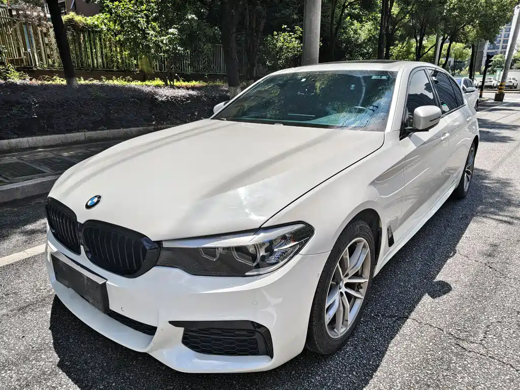 BMW 5 Series 2019 — фото 1