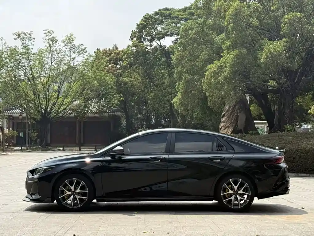 GAC Motor Shadow Leopard 2023 — фото 13