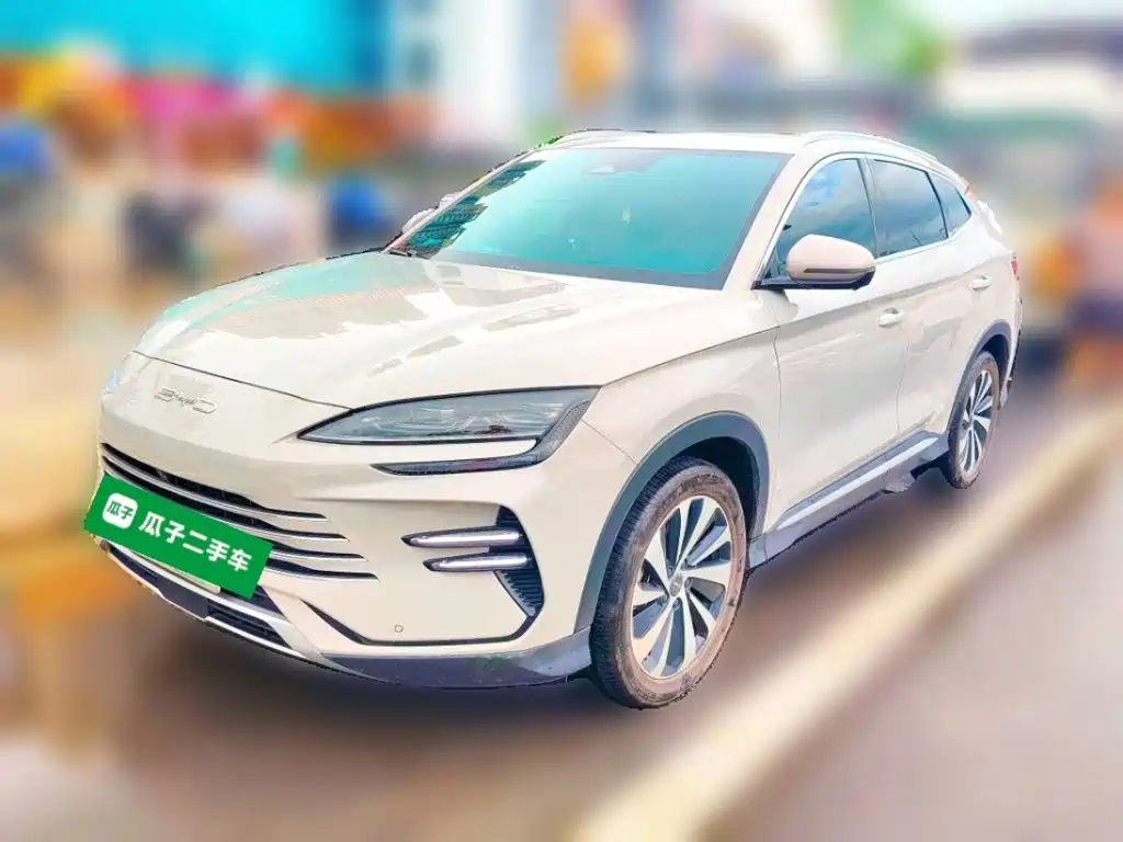 BYD Song PLUS New Energy 2024 — фото 1