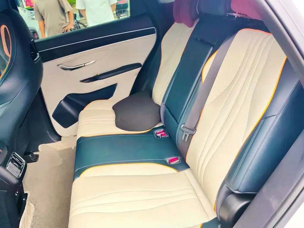 BYD Song PLUS New Energy 2024 — фото 15