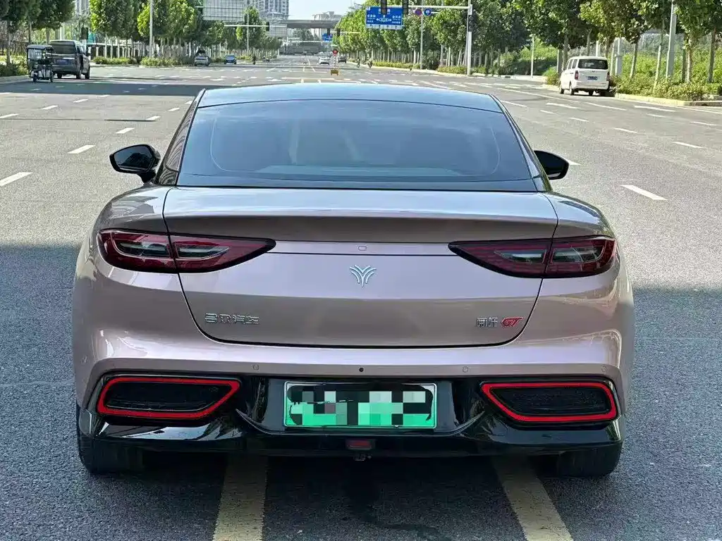 Neta GT 2024
