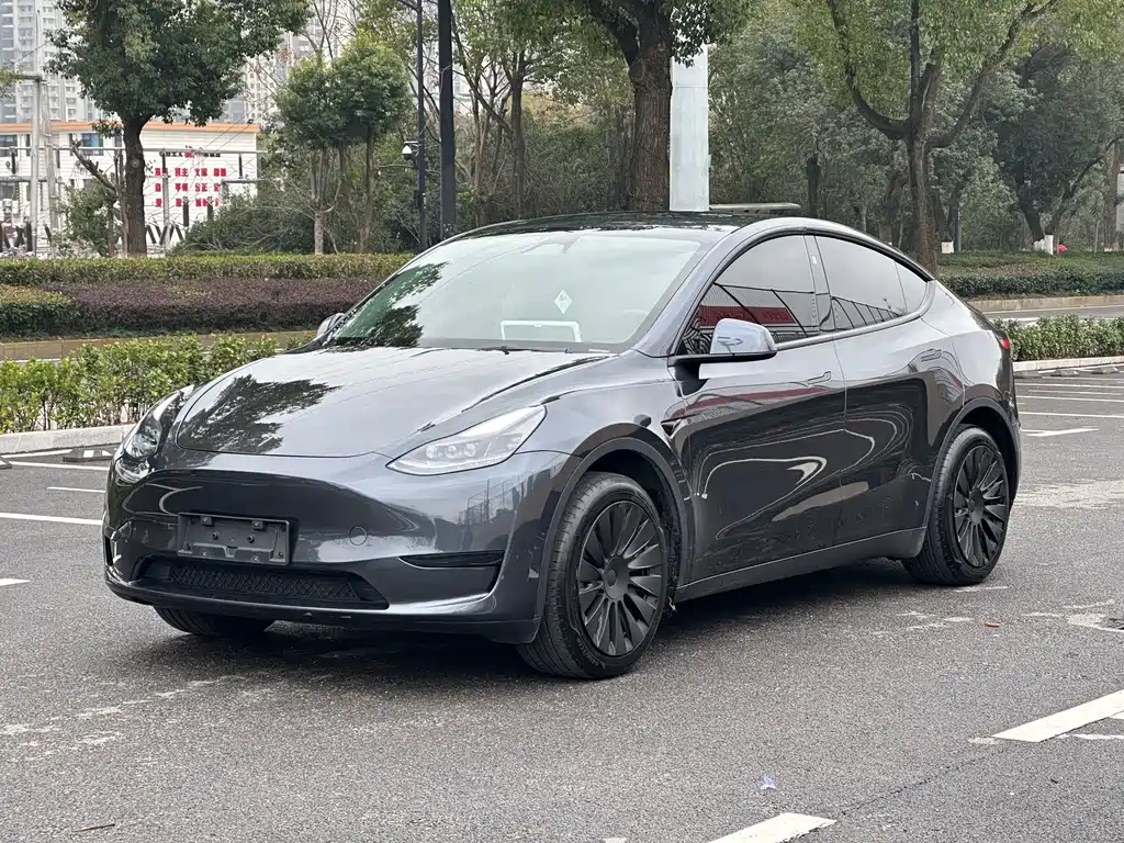 Tesla Model Y 2024 — фото 3
