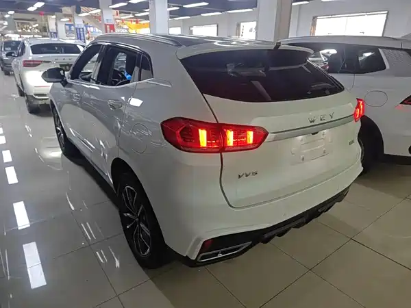 Wey VV5 2020