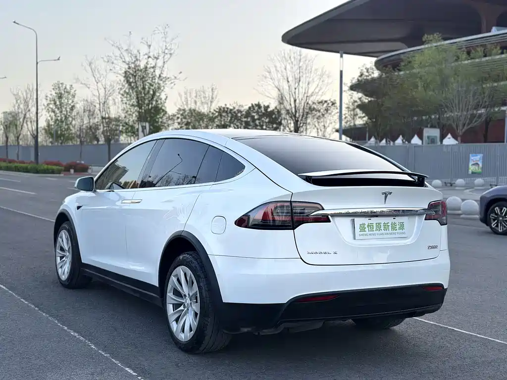 Tesla Model X 2019 — фото 7