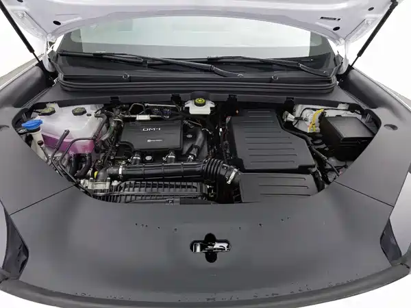 BYD Sealion 06 2026