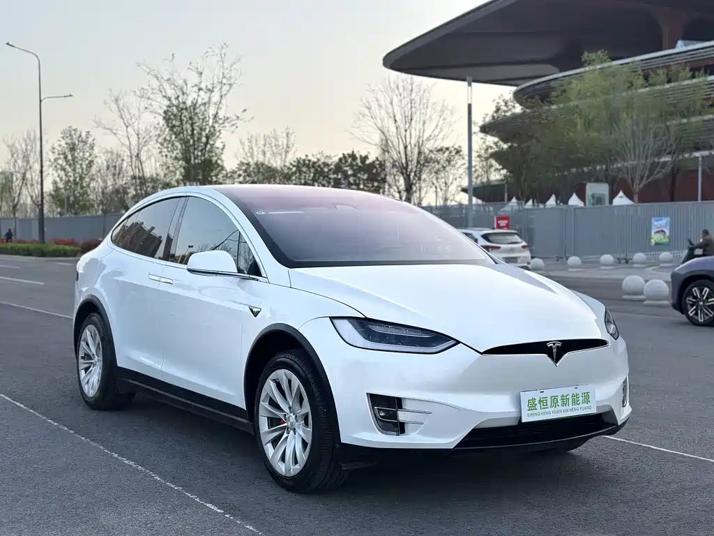Tesla Model X 2019 — фото 3