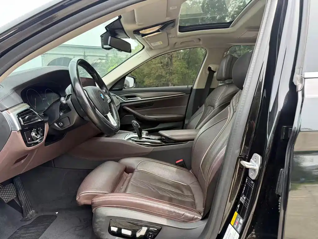 BMW 5 Series New Energy 2019