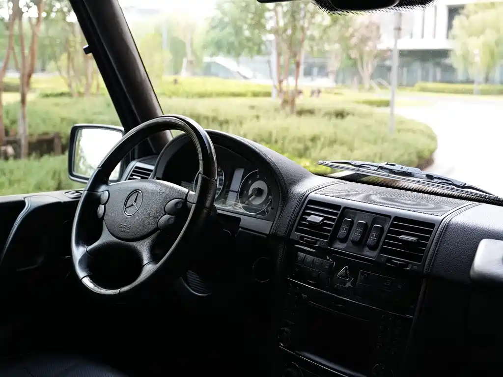 Mercedes-Benz G-Class AMG 2010 — фото 13