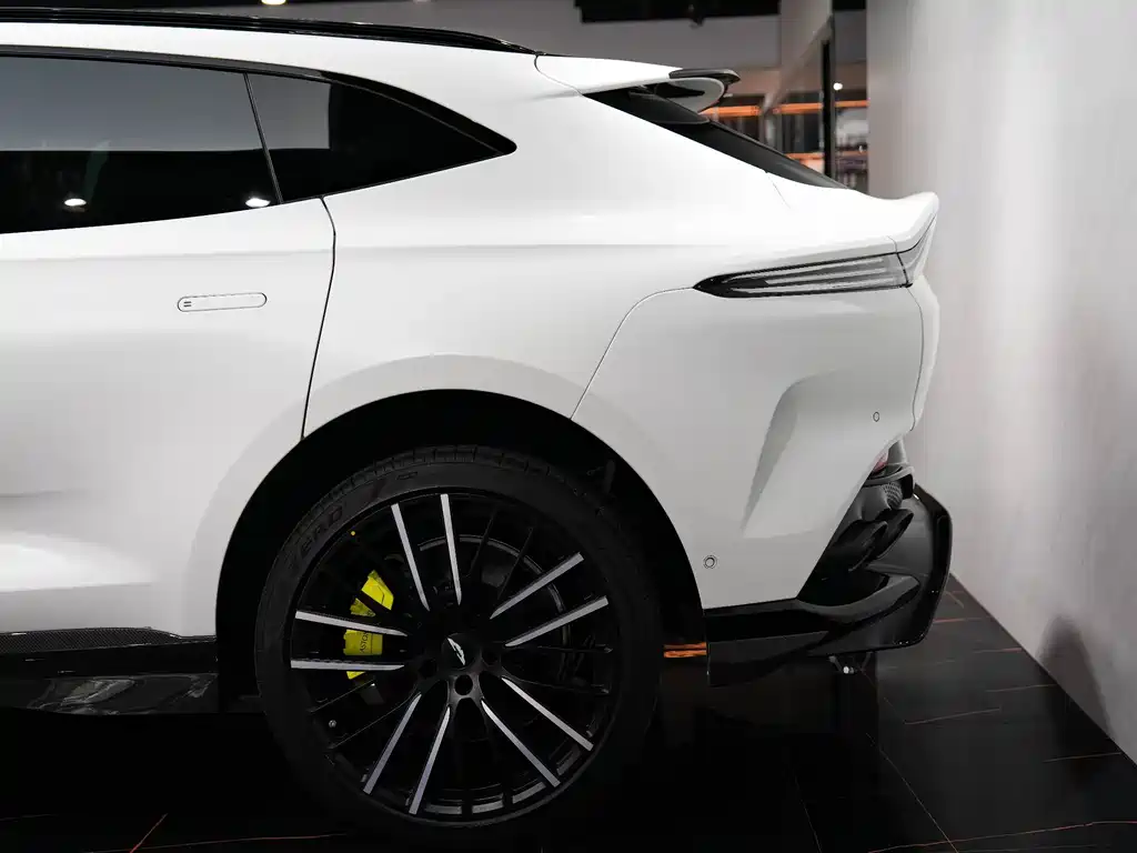 Aston Martin DBX 2023 — фото 23