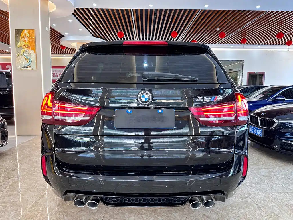 BMW X5 M 2017 — фото 5