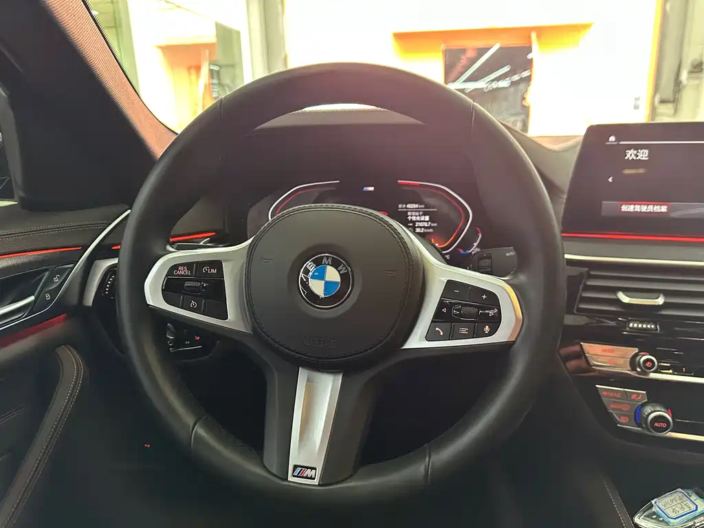 BMW 5 Series 2020 — фото 13