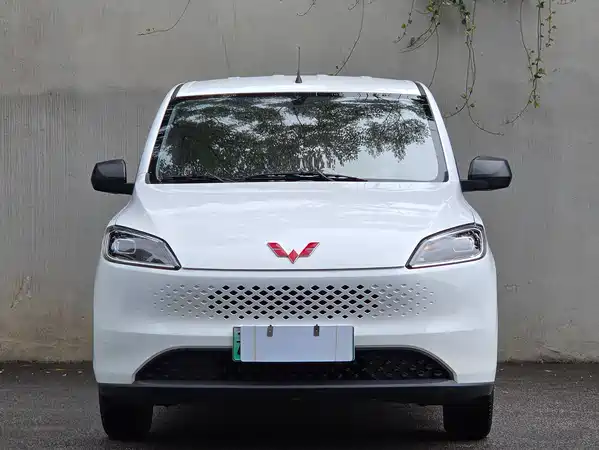 Wuling Hongguang New Energy 2025
