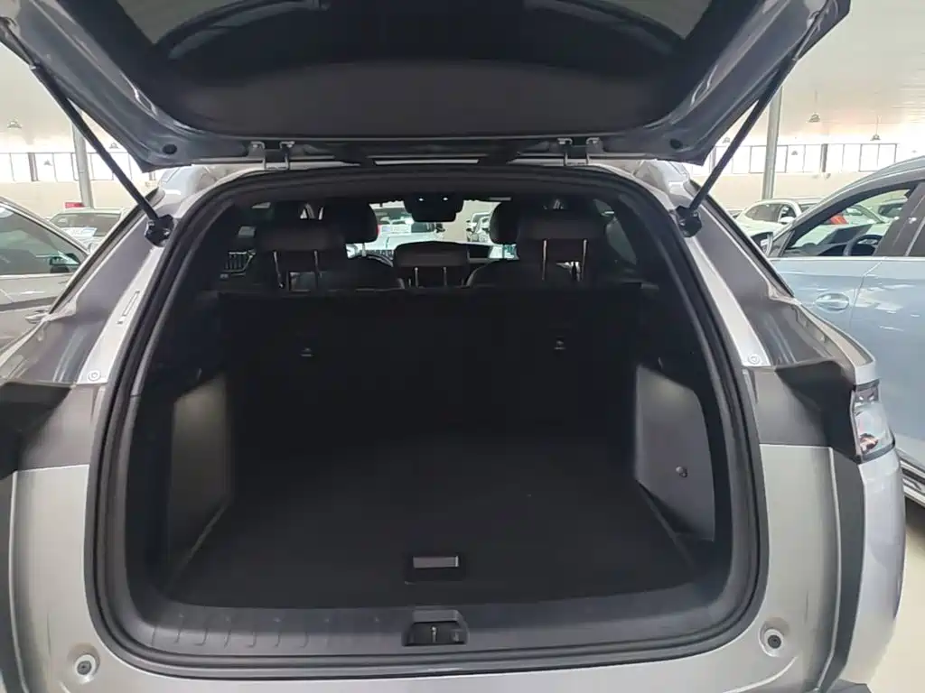 BYD L DM-i 2025 — фото 19