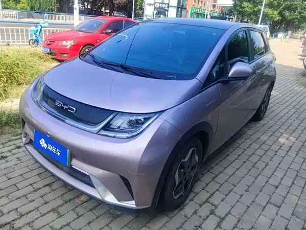 BYD Dolphin 2022