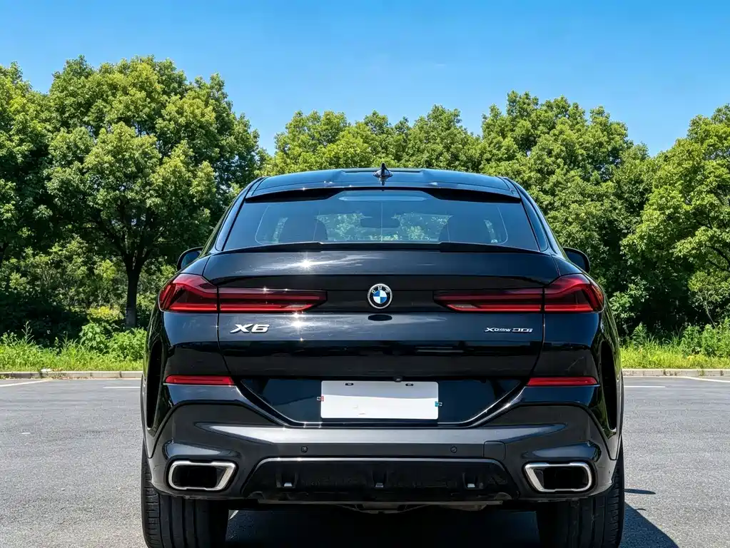 BMW X6 2021 — фото 8