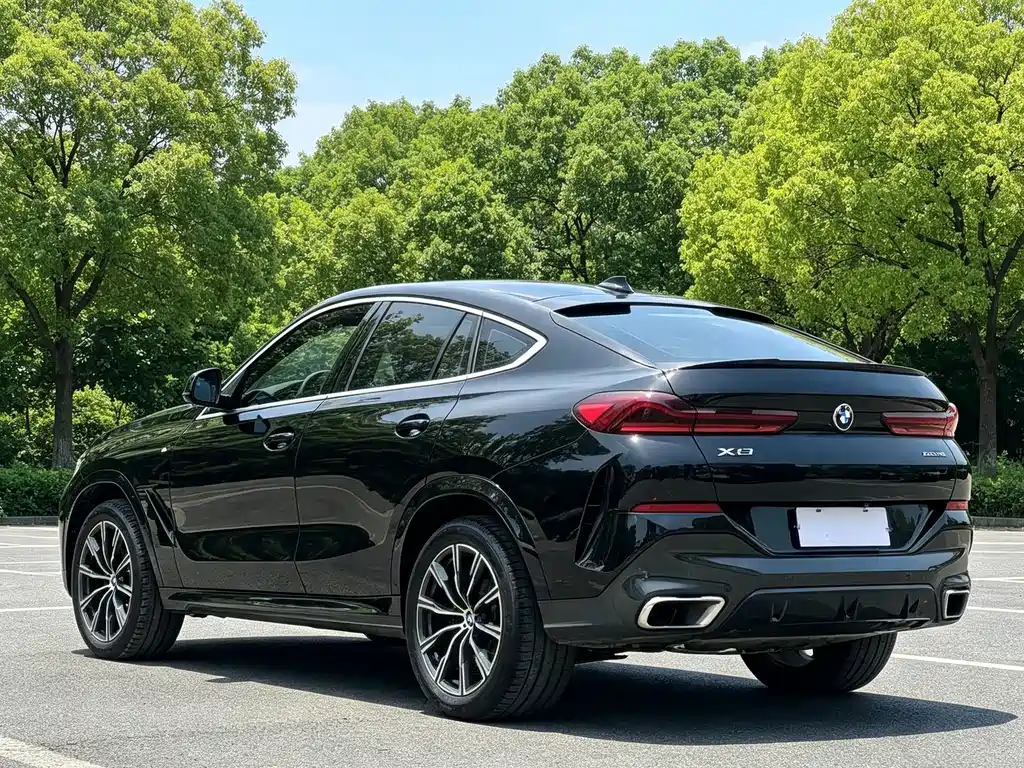 BMW X6 2021 — фото 9