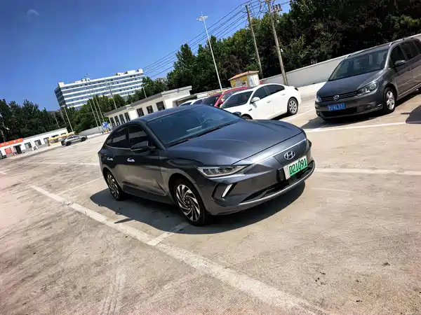 Hyundai Festa EV 2020