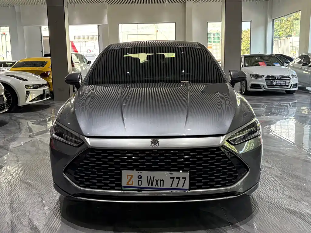 BYD Qin PLUS 2023 — фото 2