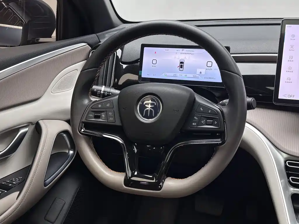 BYD Pro New Energy 2023 — фото 10