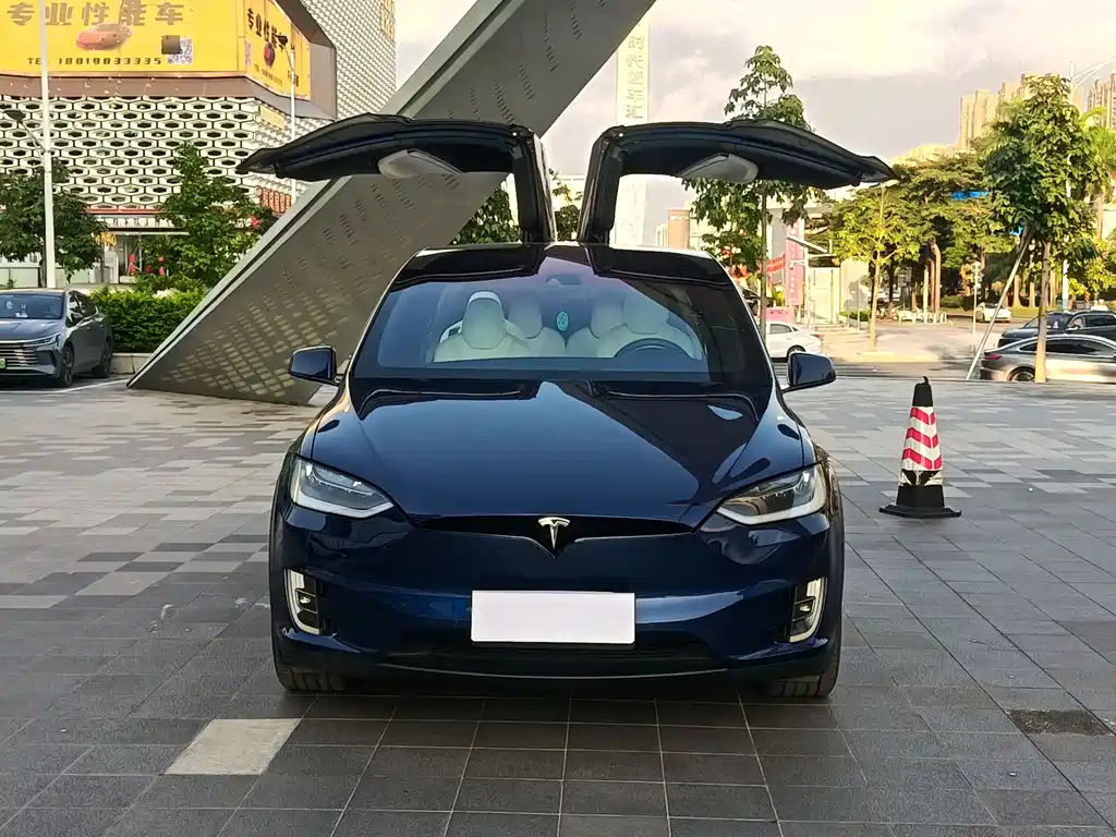 Tesla Model X 2016 — фото 2