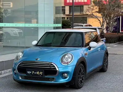 MINI MINI 2014