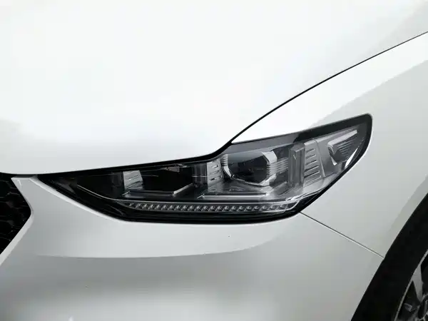 Wey VV6 2019
