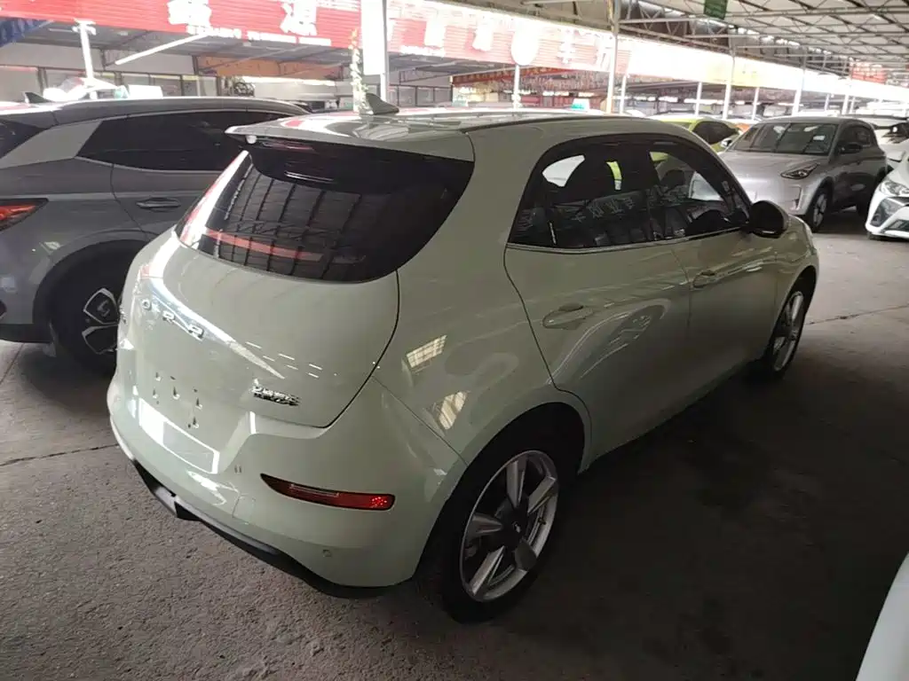 Ora Good Cat 2023