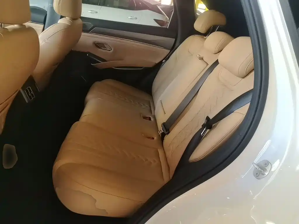 BYD Song L DM-i 2025 — фото 17