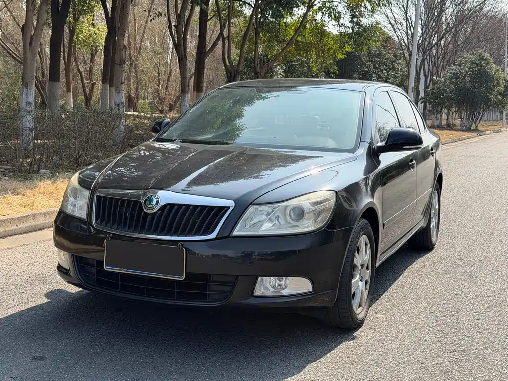 Skoda Octavia 2013 — фото 1