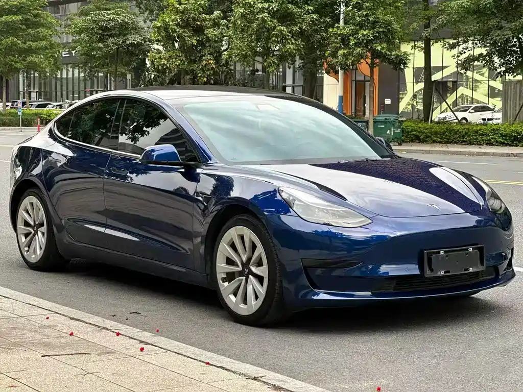 Tesla Model 3 2021 — фото 3