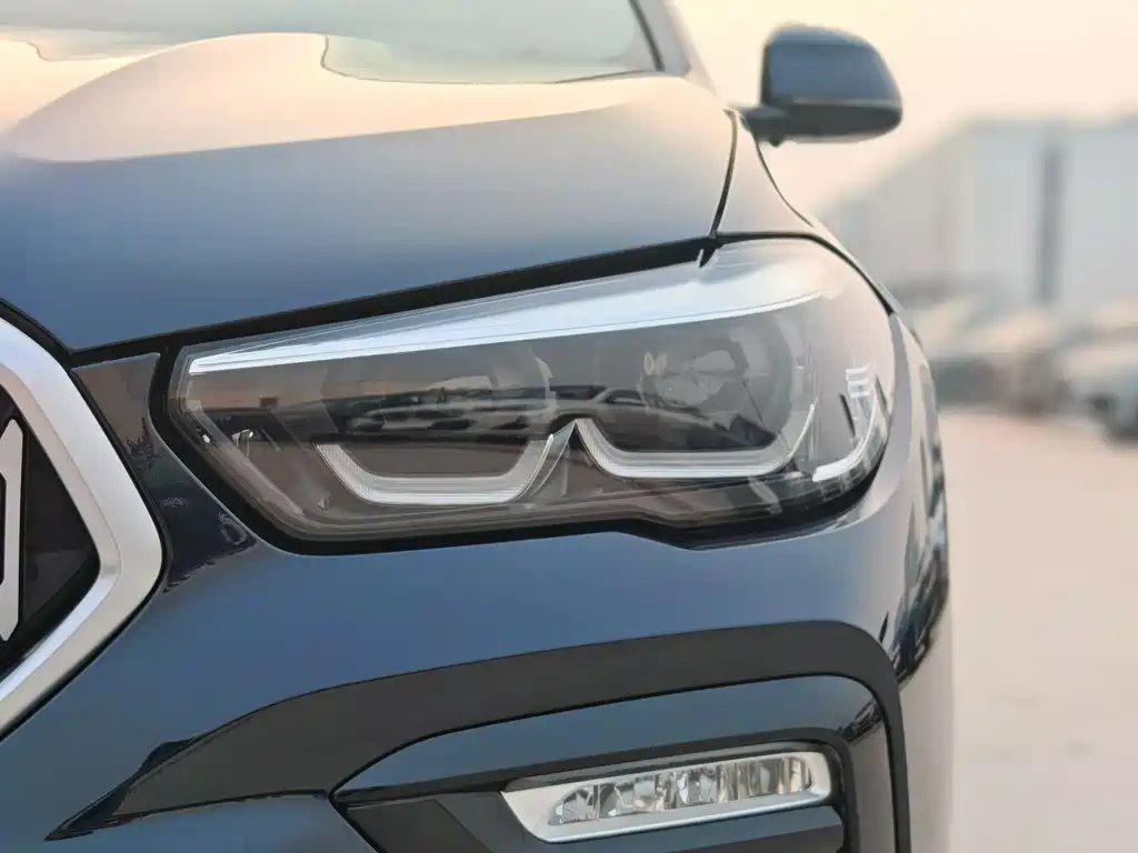 BMW X6 2021 — фото 10