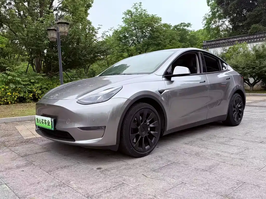 Tesla Model Y 2021 — фото 1
