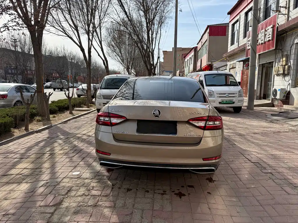 Skoda Octavia 2018 — фото 10