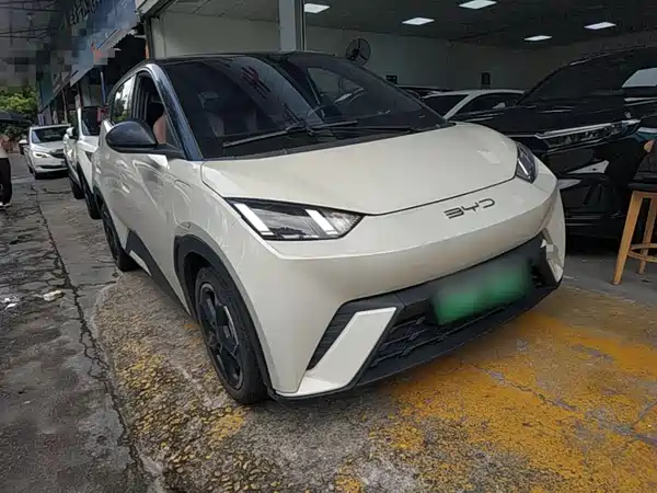BYD Seagull 2024