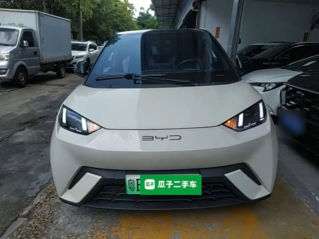 BYD Seagull 2024