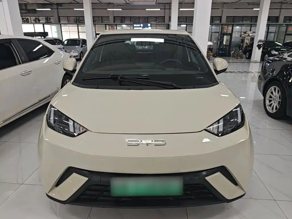 BYD Seagull 2024