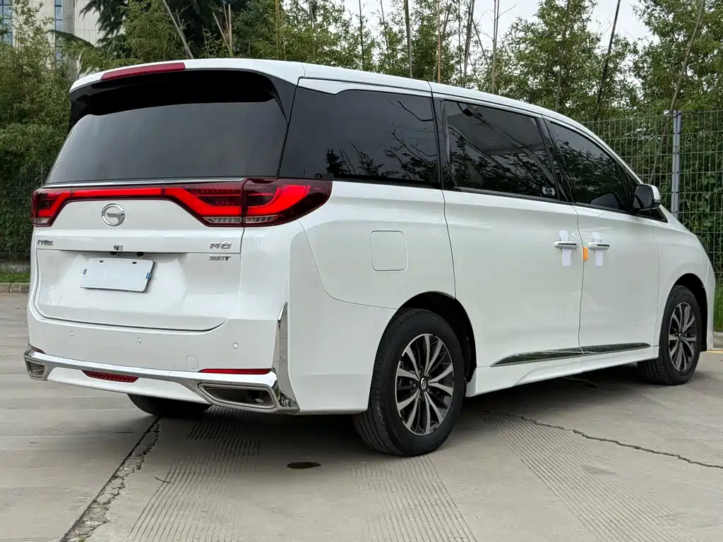 GAC Motor Trumpchi M8 2024 — фото 13