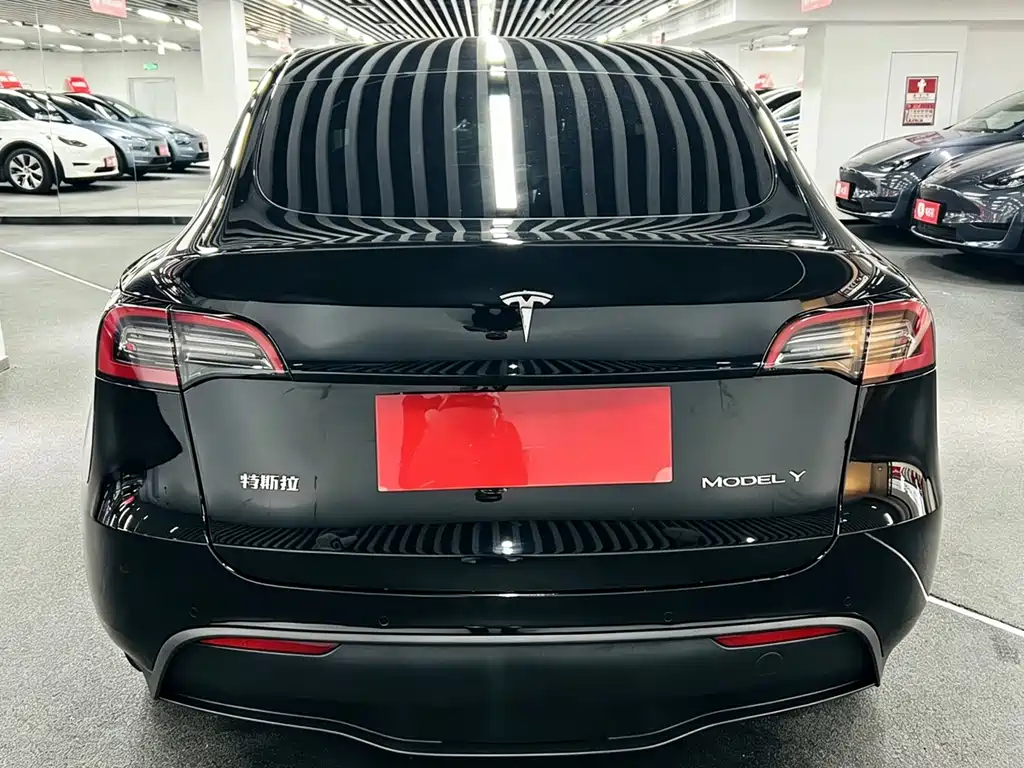 Tesla Model Y 2023 — фото 5