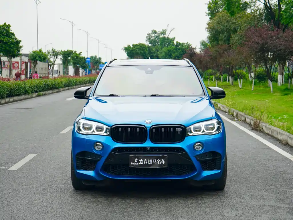 BMW X5 M 2017 — фото 2