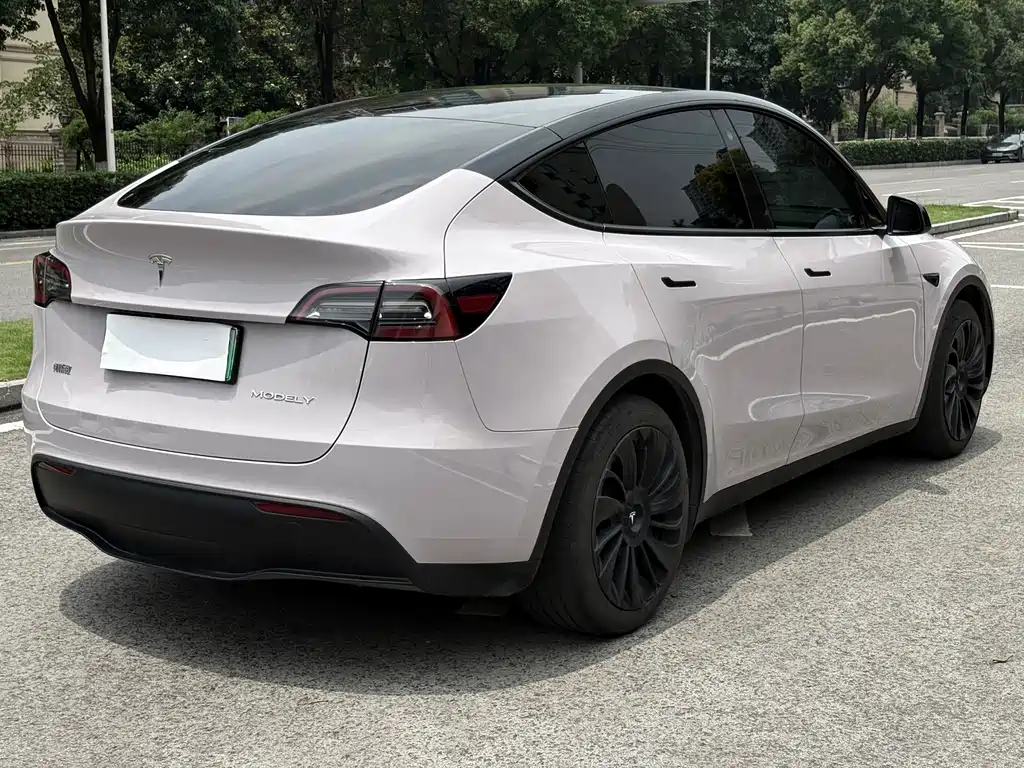 Tesla Model Y 2023 — фото 6