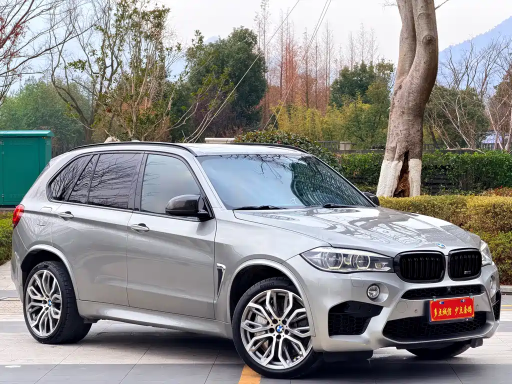 BMW X5 M 2015 — фото 46