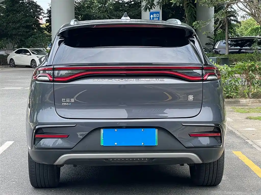 BYD Tang New Energy 2023 — фото 23